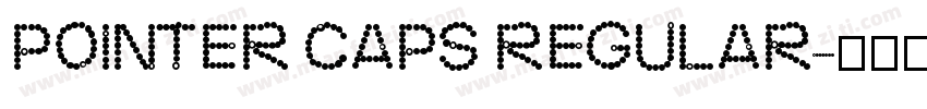 POINTER CAPS REGULAR字体转换